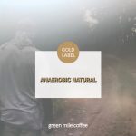 에티오피아 무산소발효 내추럴 게뎁 방코 G1